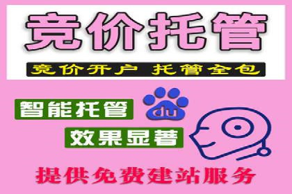 案例解读：网络推广竞价助力企业抢占市场先机